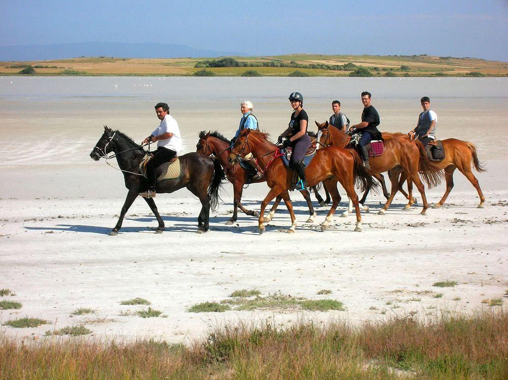 Horse Country Resort Congress & Spa - Hotel Ribot Arborea Exterior foto