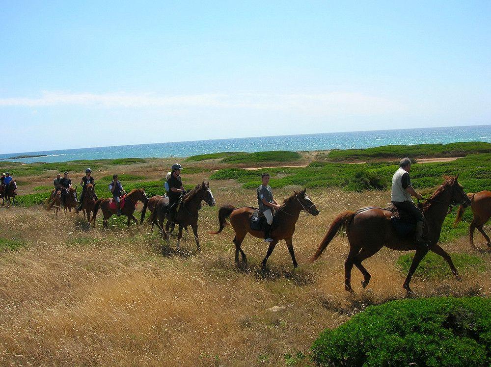 Horse Country Resort Congress & Spa - Hotel Ribot Arborea Exterior foto