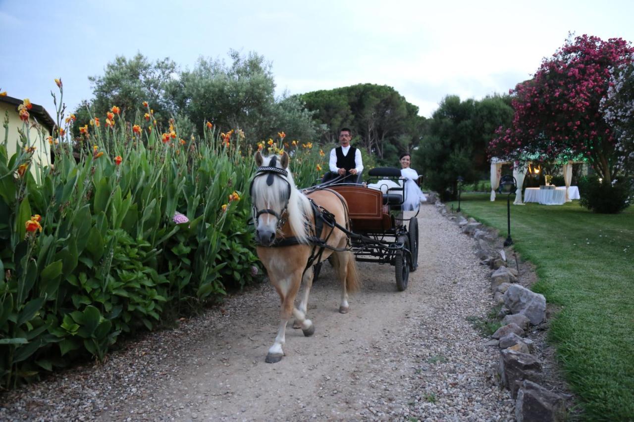 Horse Country Resort Congress & Spa - Hotel Ribot Arborea Exterior foto